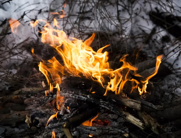 Hoguera de invierno al aire libre — Foto de Stock