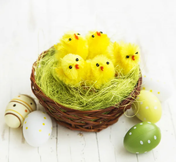 Tavuk Nest.Easter kavram — Stok fotoğraf