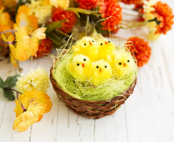 Kycklingar i ett Nest.Easter koncept — Stockfoto