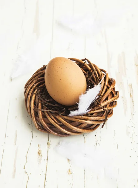 Пасхальное яйцо в гнезде с чудаками — стоковое фото