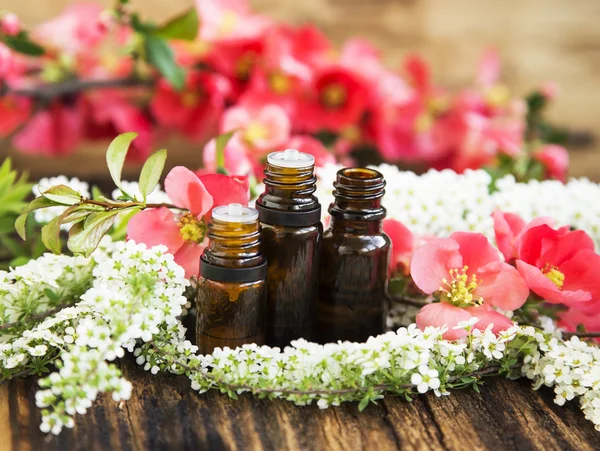 Aromathérapie Essences de fleurs en bouteilles — Photo