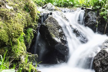 Yeşil bitki örtüsü ile ormanda vahşi Creek şelale
