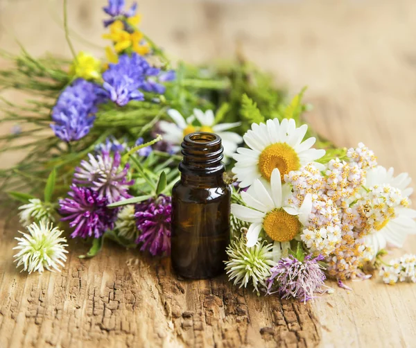 Óleo essencial com ervas e flores medicinais para T alternativa — Fotografia de Stock