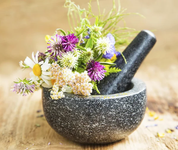 Plantas medicinales y hierbas en un mortero con plaga, alternativa —  Fotos de Stock