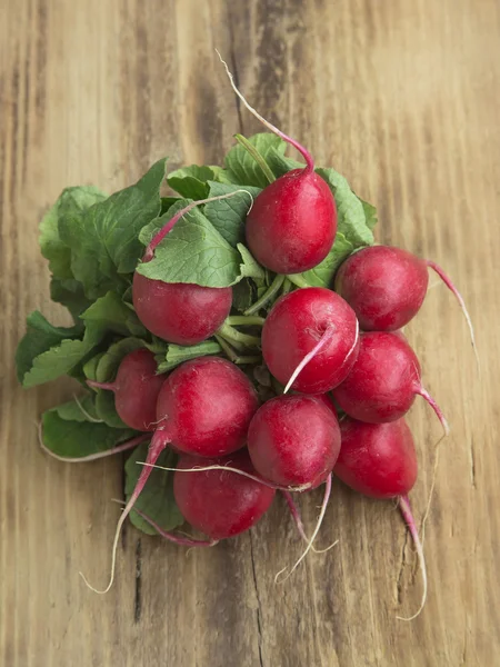 Radish — Stock Photo, Image