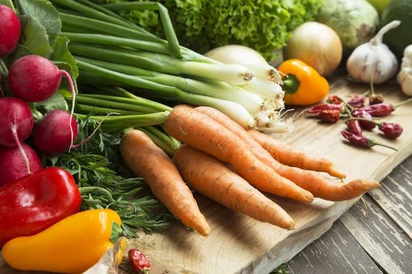 Bio Vegetables Freshly Picked, Healthy Vegetables Assortment — Stock Photo, Image