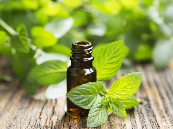 Natural Mint Essential Oil in a Little Glass Bottle — Stock Photo, Image
