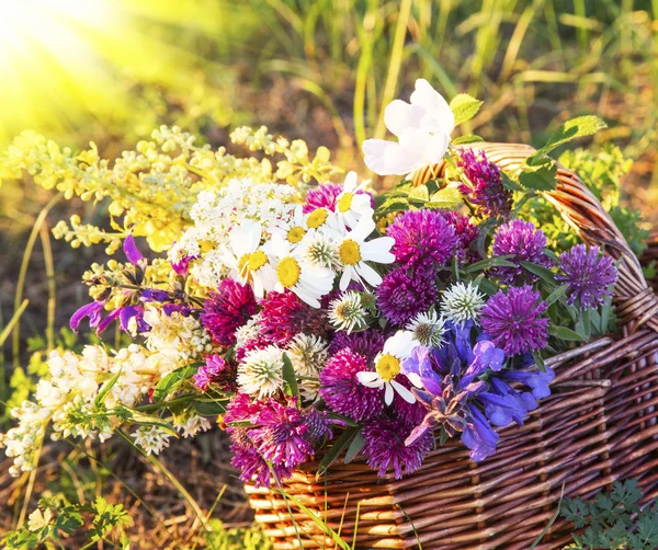 Rayons chauds d'été sur Bouquet de fleurs sauvages — Photo