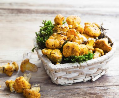 Cantharellus cibarius mantar