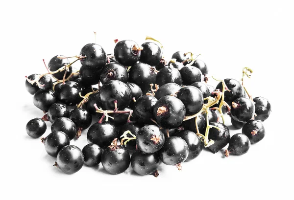 Svarta vinbär isolerade — Stockfoto