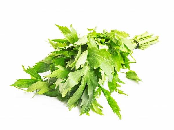 Lovage Herb — Stock Photo, Image