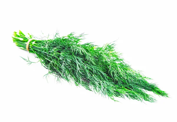 Dill Herb — Stock Photo, Image