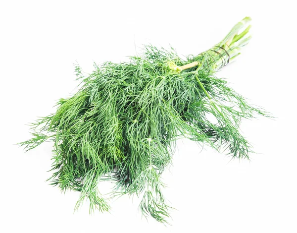 Dill Herb — Stock Photo, Image