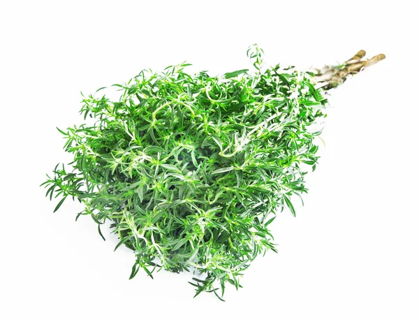 Thyme Herb — Stock Photo, Image