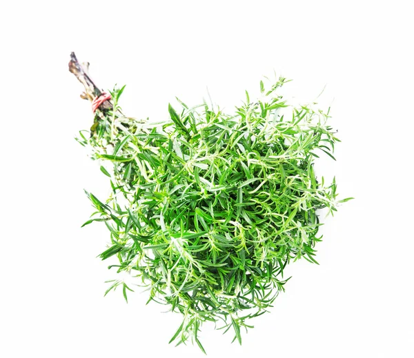 Thyme Herb — Stock Photo, Image