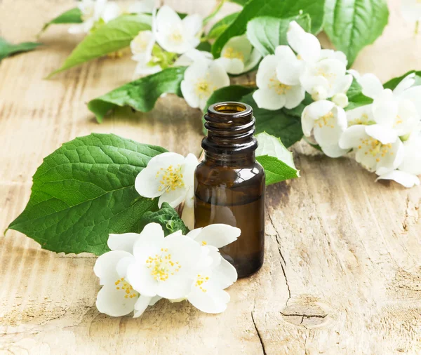 Jasmine Essential Oil — Stock Photo, Image