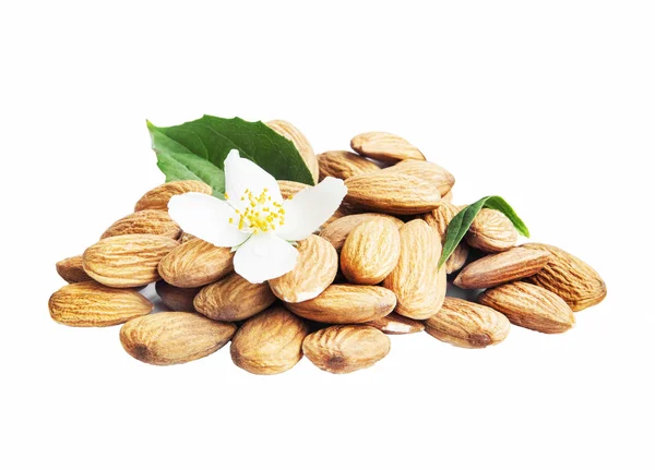 Almonds Isolated with Flower and Leaf — Stock Photo, Image