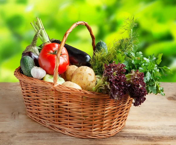 Bio Vegetables Assortment Freshly Picked — Stock Photo, Image