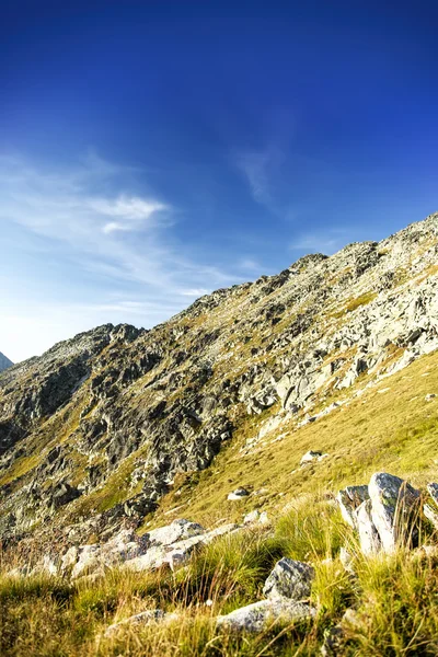 Natuur berglandschap in de Karpaten — Stockfoto