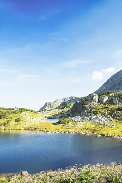 Tyyni maisema Mountain Lake Karpaattien vuoristossa — kuvapankkivalokuva