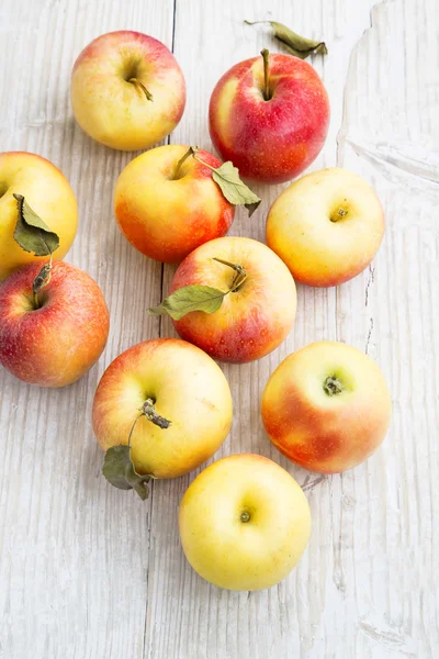 Zralé podzimní jablka — Stock fotografie