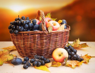 Warmy sonbahar ışık sonbahar meyve hasat