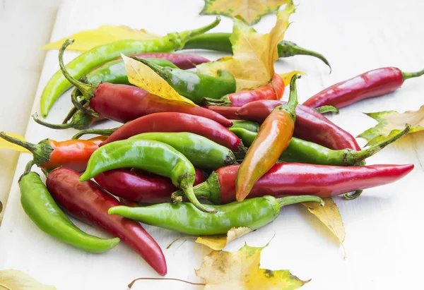 Pimentas de pimenta quente com cores brilhantes e folhas de outono — Fotografia de Stock
