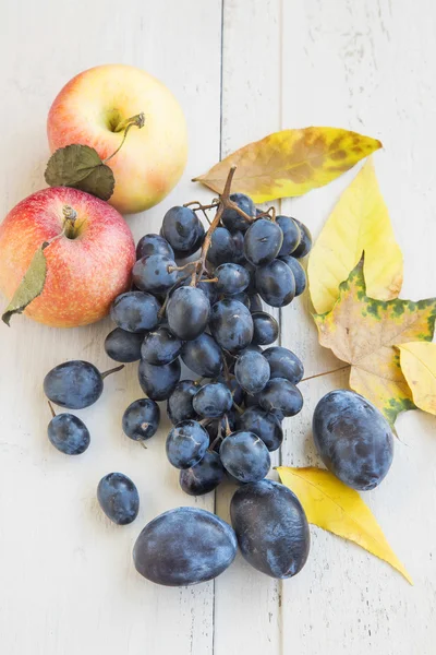 Zralé podzimní jablka, hrozny a sortimentem švestkami — Stock fotografie