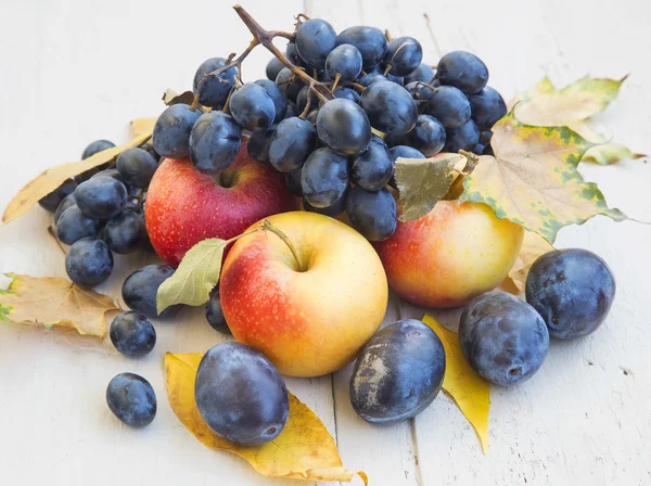 Surtido de manzanas, uvas y ciruelas maduras de otoño — Foto de Stock
