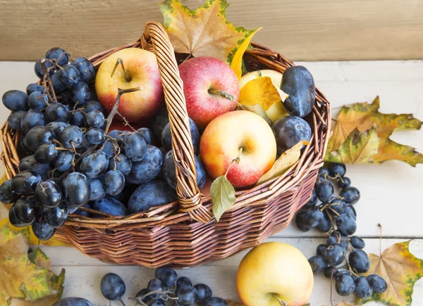 Autumn Harvest — Stock Photo, Image