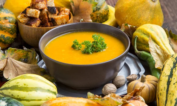 Fall Pumpkin Soup with Croutons and Parsley — Stock Photo, Image