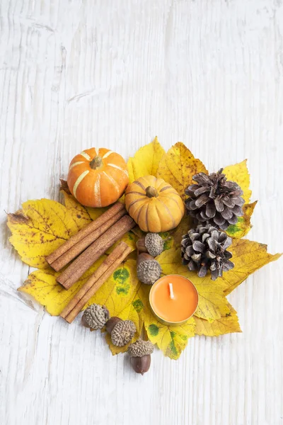 Herfst Decoration.Pumpkins, gedroogde bladeren, eikels en kaneel — Stockfoto