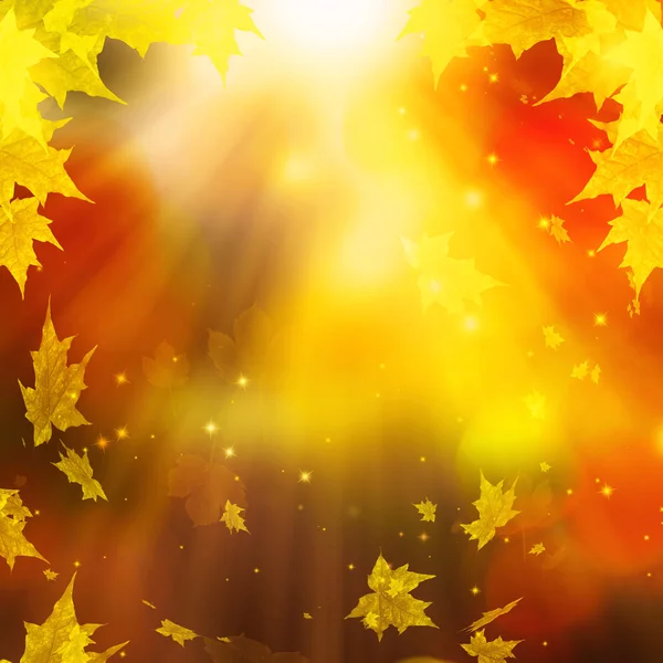 Feestelijke Autumn Leaves, abstracte herfst achtergrond afbeelding — Stockfoto