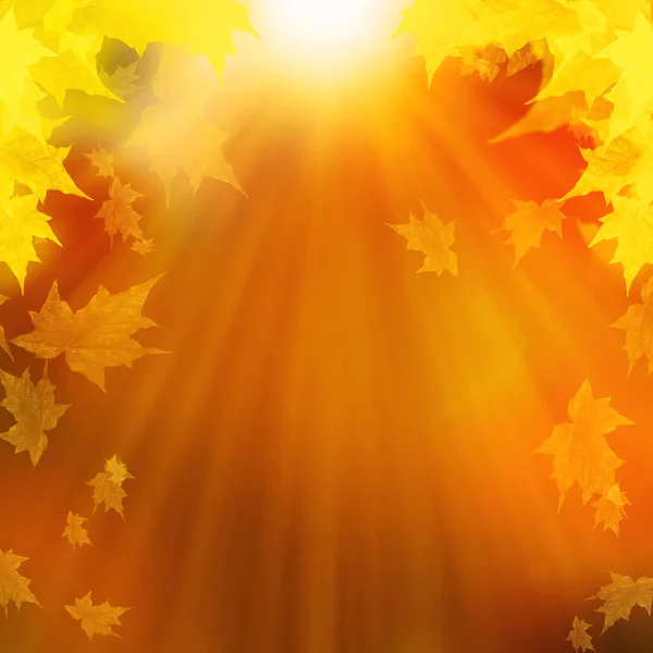 秋天的落叶，抽象的秋天背景图 — 图库照片