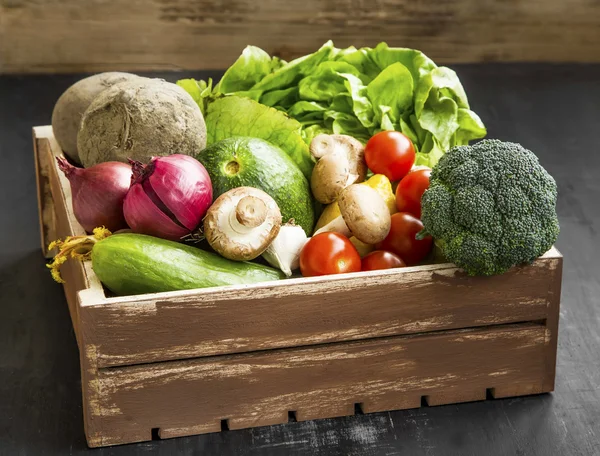 Bio vegetables with radish,salad,mushrooms,broccoli,tomatoes in — Stock Photo, Image
