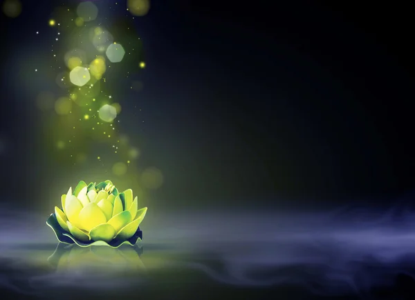 Dromerige magische lotusbloem — Stockfoto