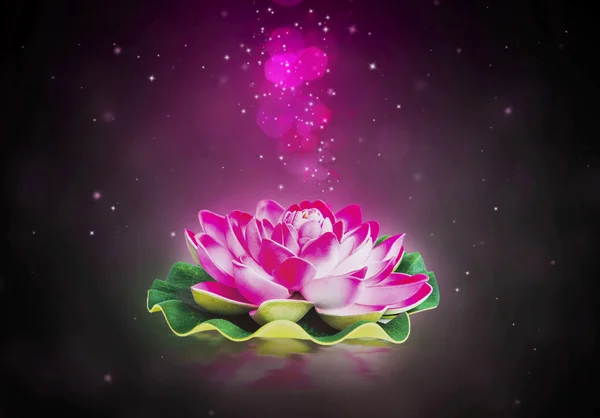 Dreamy lotus flower — Stock Photo, Image