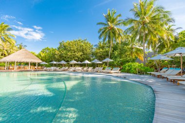 Güneş doğarken tropik yüzme havuzu, lüks yaz kaplıcası ve sağlık havuzu, şemsiye altında şezlonglar ve plaj sandalyeleri ve palmiye yaprakları. Yaz turizmi ve tatil geçmişi kavramı