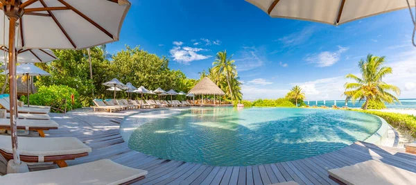 Tropical Swimming Pool Sunrise Luxury Summer Spa Wellness Poolside Loungers — Stock Photo, Image