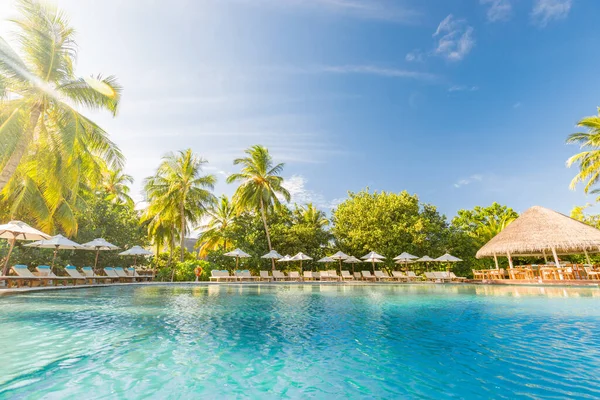 Tropisch Zwembad Bij Zonsopgang Luxe Zomer Spa Wellness Zwembad Ligstoelen — Stockfoto