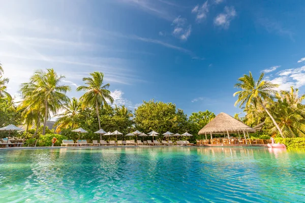 Tropical Swimming Pool Sunrise Luxury Summer Spa Wellness Poolside Loungers — Stock Photo, Image