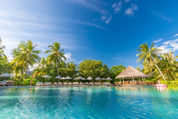 Tropical Swimming Pool Sunrise Luxury Summer Spa Wellness Poolside Loungers — Stock Photo, Image