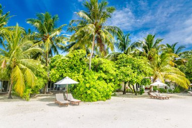 Yaz manzarası, tatil köyü, tropik plaj beyaz plajı. Beyaz kum, palmiye ağaçları, turkuaz okyanus güneşli yaz gününde bulutlu mavi gökyüzüne karşı güzel tropik plaj. Rahatlamak için mükemmel bir manzara arka planı