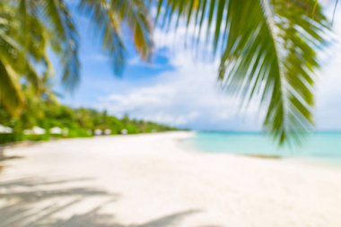 Bulanık güzel sahil. Deniz kenarındaki kumlu sahilde sandalyeler. Yaz tatili ve turizm için tatil konsepti. İlham verici tropikal manzara