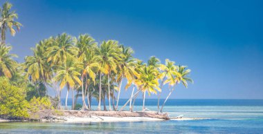 Tropik plaj manzarası. Sakin deniz lagünü, deniz manzarası ve ufukta muhteşem palmiye ağaçları, sakin tropikal doğa plajları. Lüks yaz seyahatleri. Egzotik sahil manzarası, tropikal tatil, bayram afişi konsepti.