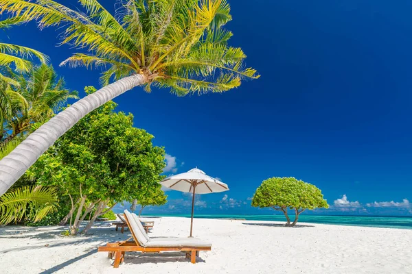 热带天堂海滩与白色的沙子和可可棕榈旅游广阔的全景背景 奢华假期和假日横幅 热带海滩度假理念 美丽的海滩设计 — 图库照片