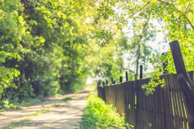 Kırsal yolda ahşap çitli kır manzarası. İlkbahar doğası, fotokopi alanı olan açık hava manzarası. Güneşli hava, rahatlatıcı doğa ortamı