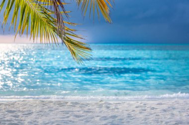 Mavi gökyüzüne karşı hindistan cevizi palmiyeleri ve tatil beldelerinde güzel plajlar. Güzel tropik plaj manzarası, palmiye yaprakları arasında derin mavi gökyüzü.. 