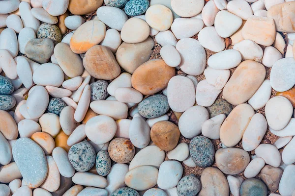 Kieselsteine Glänzend Nasse Bunte Kieselsteine Strand Abstrakte Natur Kieselsteine Hintergrund — Stockfoto