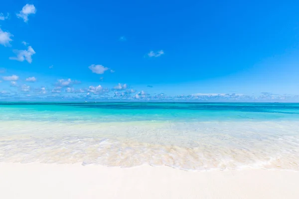 Літній Морський Пейзаж Красиві Хвилі Блакитна Морська Вода Сонячний День — стокове фото